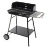 Barbecue Charbon Paravent Azur Grille 53 Cm Neka