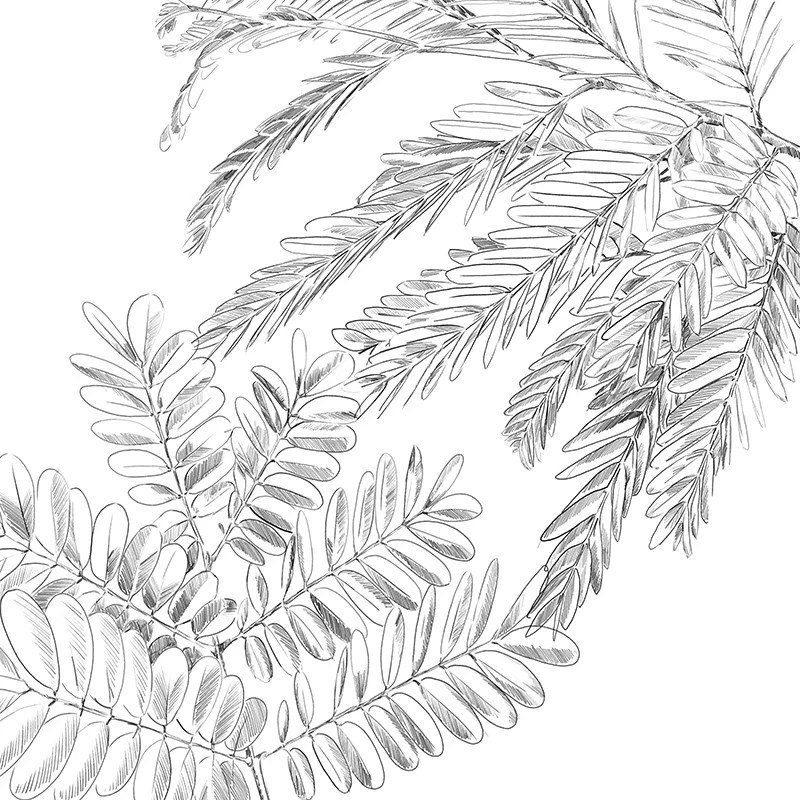 Parure De Lit Monstera Blanc Et Vert 240x220 Atmosphera 7 Parure De Lit Monstera Blanc Et Vert 240x220 Atmosphera – Image 5